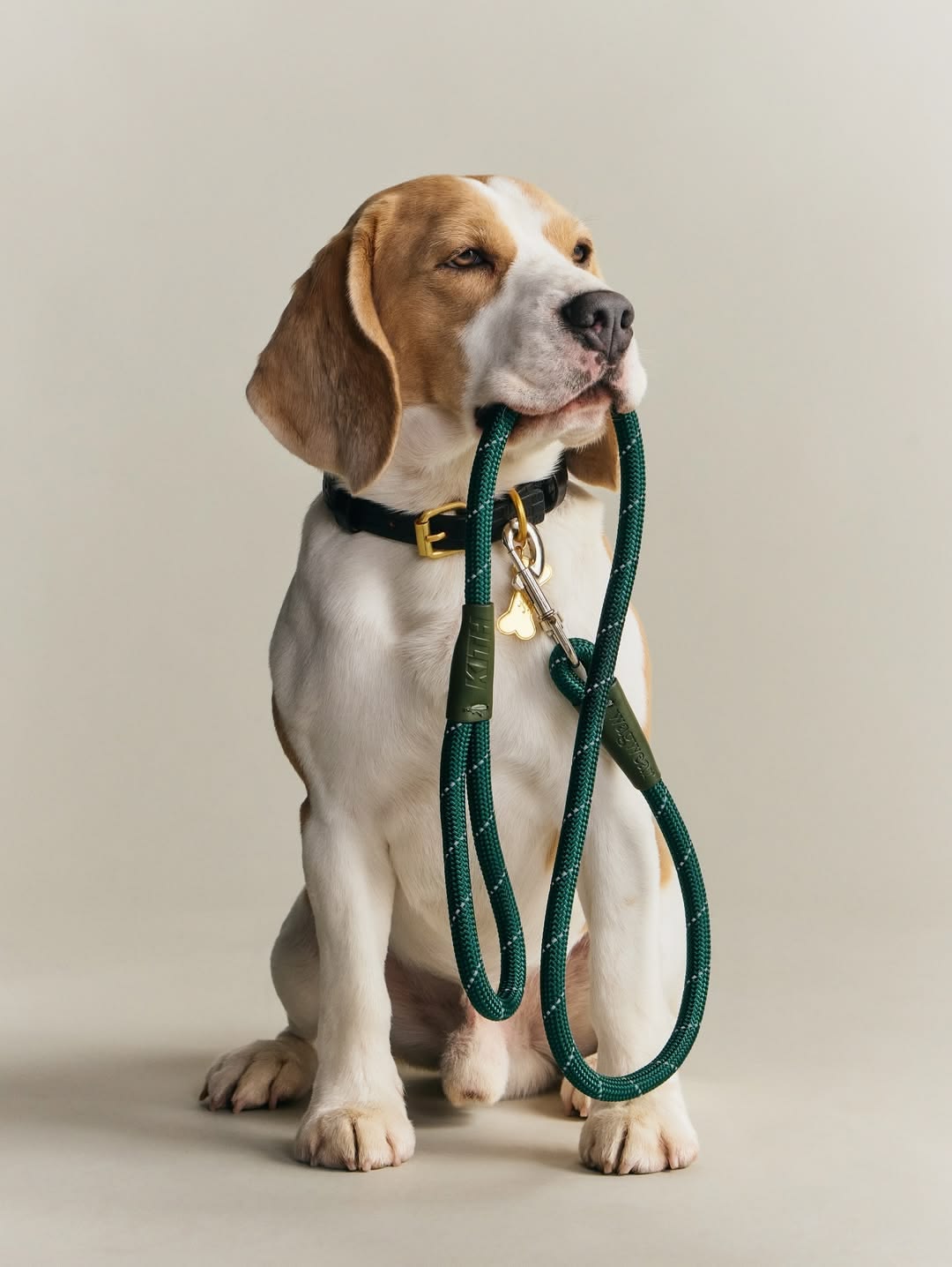 Walking Leads