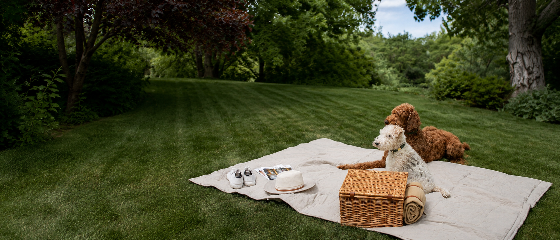 Everyday life shared with pets