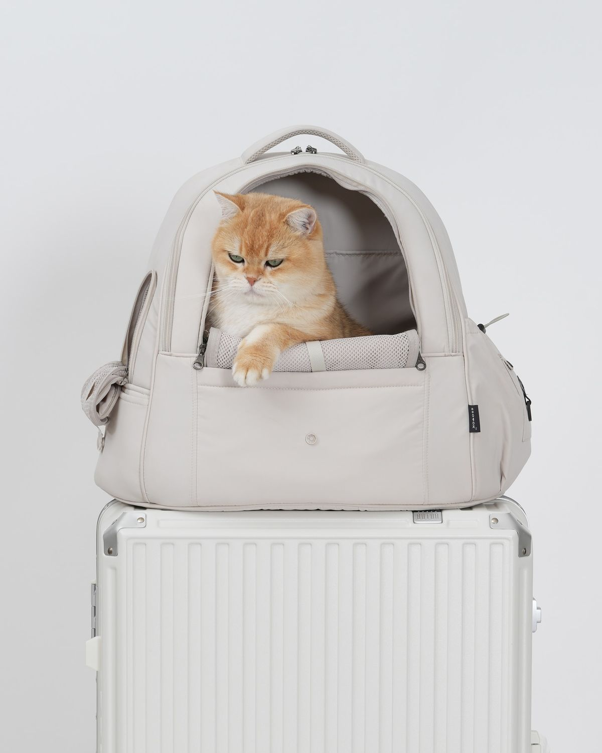 Travel Carriers
